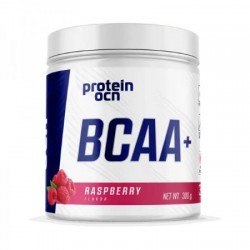 PROTEİNOCEAN BCAA+ 300 GR