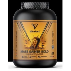 Vitalest Mass Gainer 2400G. Karbonhidrat Tozu 24 Servis ÇİKOLATA